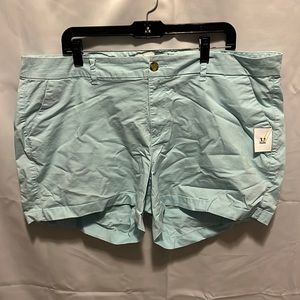 (32) OLD NAVY light blue shorts